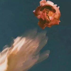 BBBBBB和BBBBBB的区别
